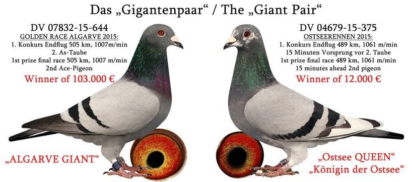 orginals