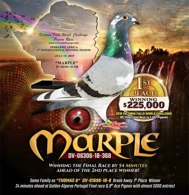 Predrag Konic Part 2